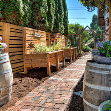 Vegetable Garden