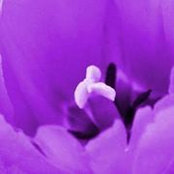 Katherine Scott Mageeさんの写真