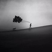 Diane Stolls foto