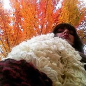 Dana Halverson's photo