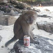 Danny Kerr's photo