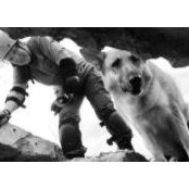 Shirley Grauberger's photo