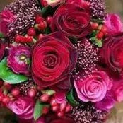 Priya Dharsini's photo