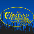 Cipriano Landscape Design & Custom Swimming Pools's profile photo