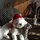 ilene_doover