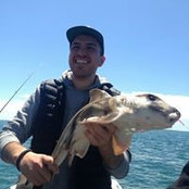 Adrian Altobelli's photo