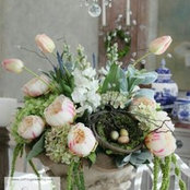 L Tiso's photo