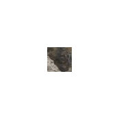 Foto von Ynhfd Kjhfd