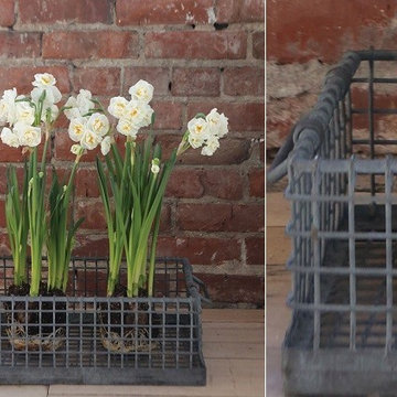 AFH FOUND: Vintage Iron Tulip Crate