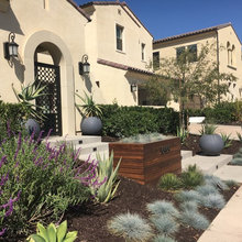 front yard landscape
