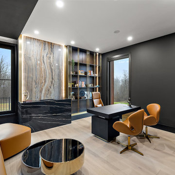 Modern Home in Farmland Setting