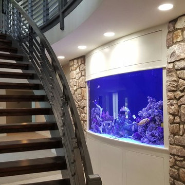 Newtown Aquarium