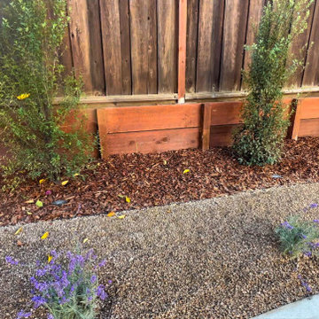 Backyard Remodel (Granite, Mulch, Outdoor Lighting, Grass, Turf, Shrubs)
