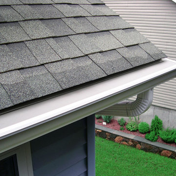 LeafFilter Gutter Guard