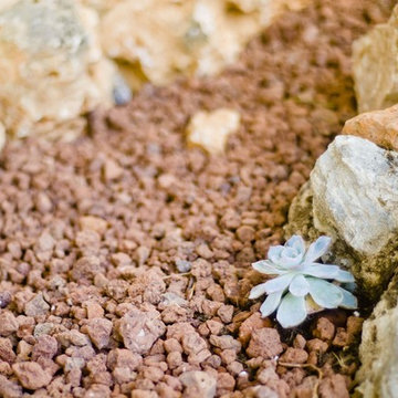 Jardín tropical - minimalista en Monte de los Almendros