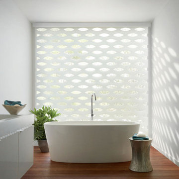 Roller & Solar Shades