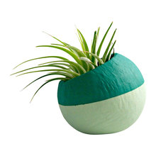 Stuff for my Cubicle or Office