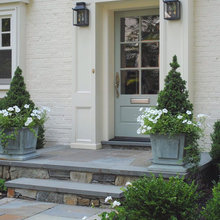 plants and urns