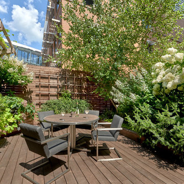 A Rooftop Oasis
