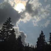 Nanette Azar's photo