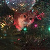 Holly Smith's photo