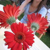 Christine Frey's photo