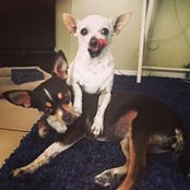 Lj Esslinger's photo