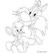Daniar Amir's photo
