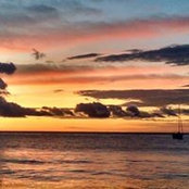 debra crandall's photo