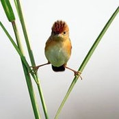 Betsy Sikes's photo