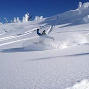 Foto von Tyson Webb