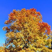Wendy Golding's photo