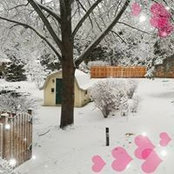 Cheryl Machak's photo