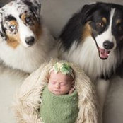 Elissa Phillips's photo