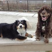 Aine Blanchard's photo