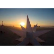 Josh Felser's photo