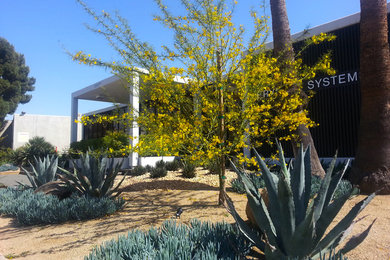 Photo of a large contemporary full sun front yard retaining wall landscape in Los Angeles.