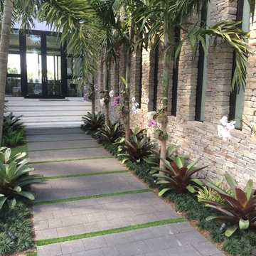 Tropical Landscape