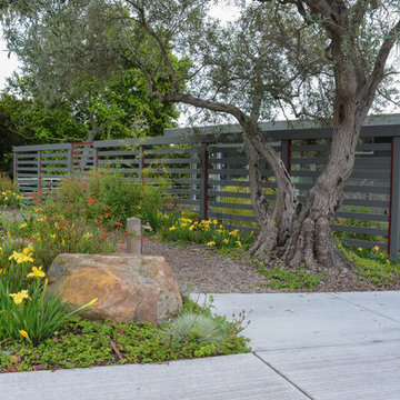 Garden for a modern house