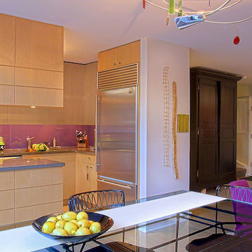 Lincoln Park Townhouse