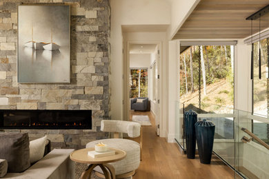 Living room - transitional living room idea in Other