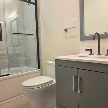 Basement Bathroom Renovation in The Bridle Path