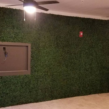 Fake Ivy Projects