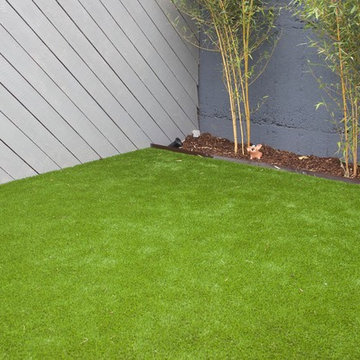 Artificial Grass in Rathmines Urban Garden