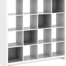 Organization