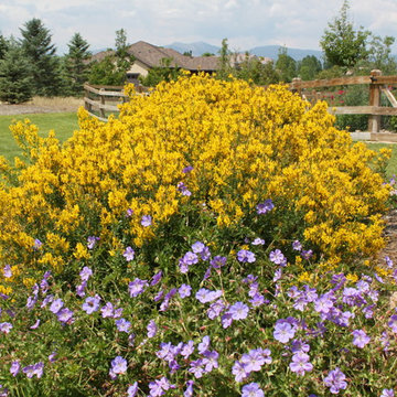 Southwest Longmont Paradise