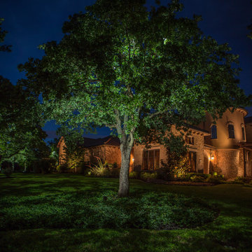 Low Voltage Up Lighting and Moon Lighting- Southlake