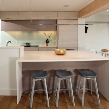 Contemporary Kitchen Design