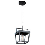 Artcraft Lighting - Carriage 1 Light Pendant, Black - The classic design of the "Carriage Collection' makes it timeless. This pendant collection has clear glassware and is finished in a semi gloss black. What is great about this styling is that it can lend itself to traditional all the way to modern, industrial or transitional decor. (Two cage type versions available)