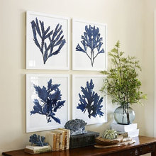 Anne Savellano's Ideas